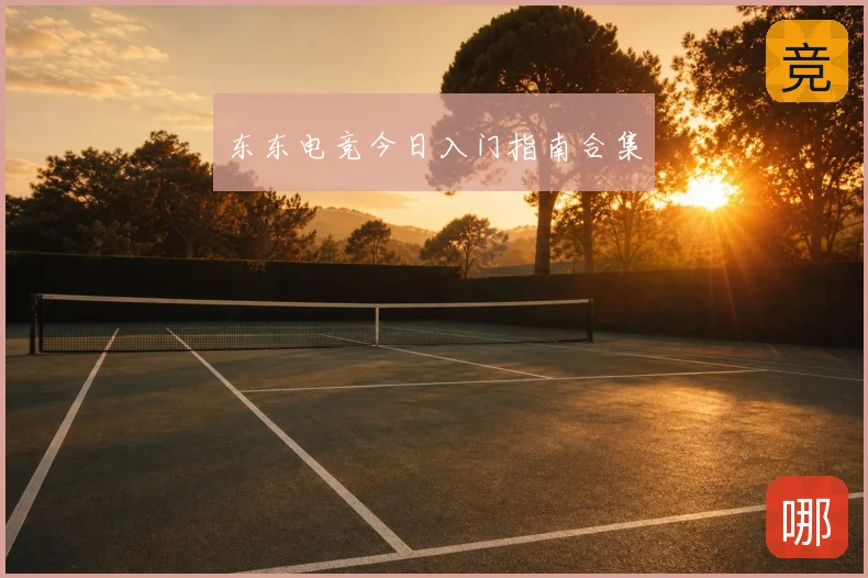 东东电竞今日入门指南合集