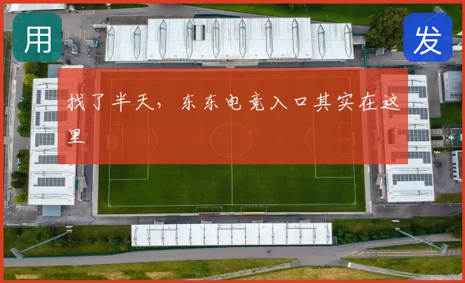 找了半天，东东电竞入口其实在这里